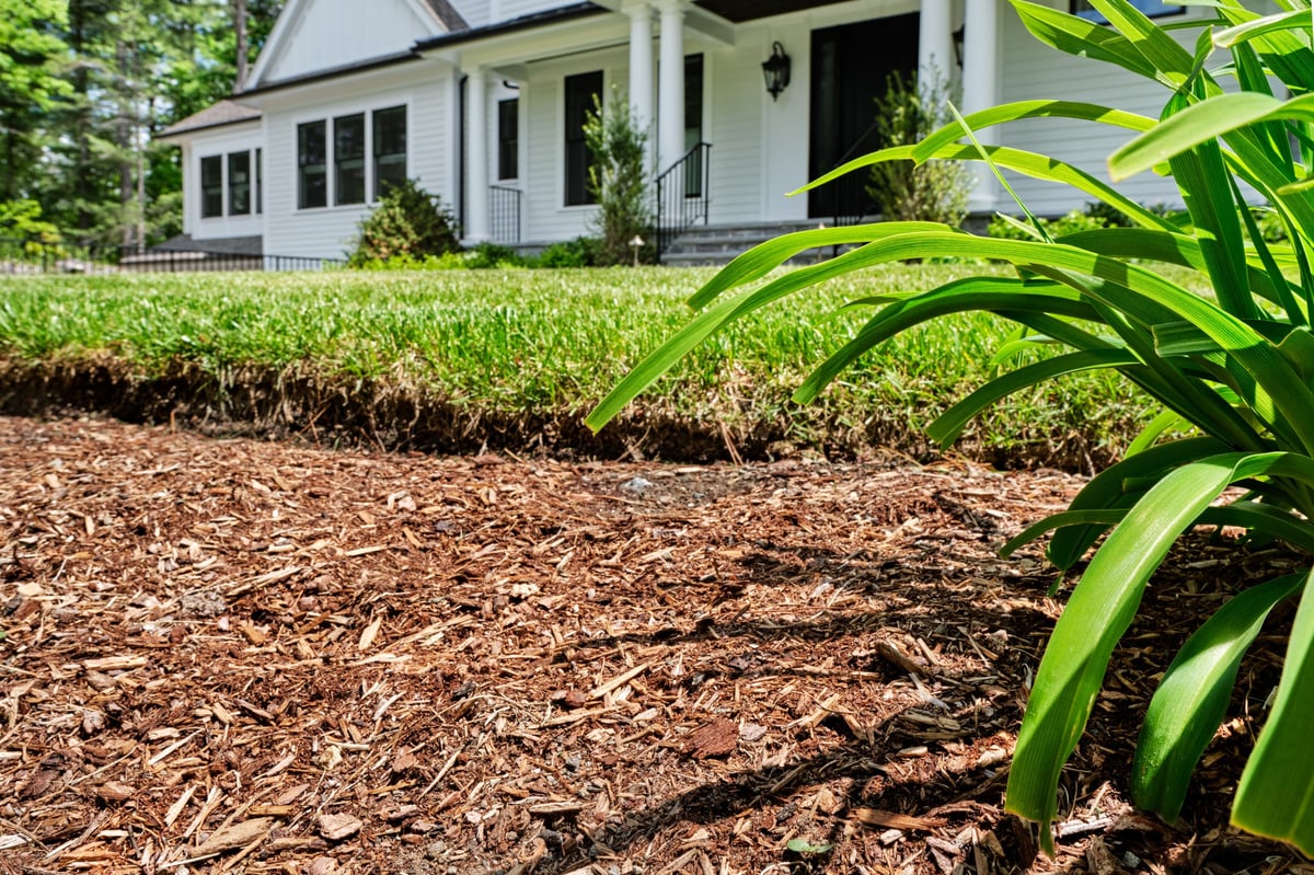 Front garden in suburban home cleaned up in Spring with newly-mulched flower beds and mowed grass