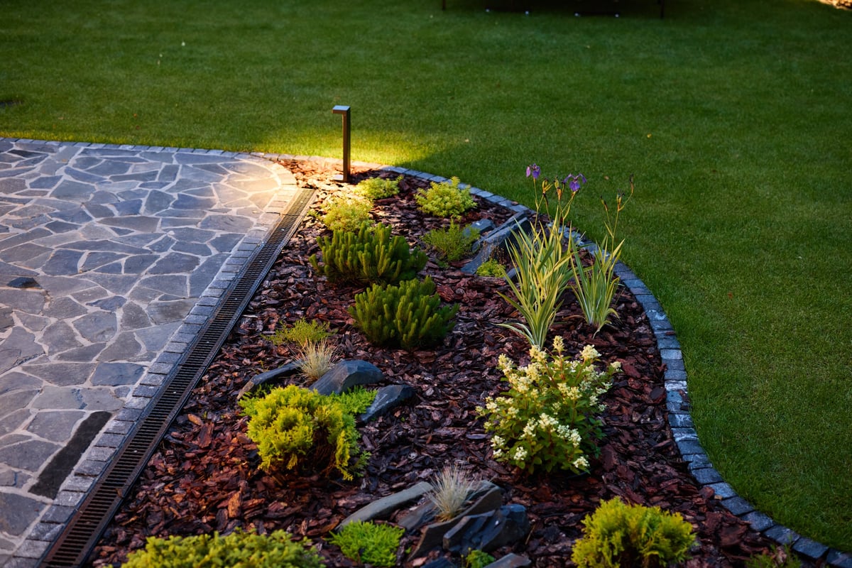 A beautifully designed garden scene with diverse plants and creative night lighting enhancing its appeal